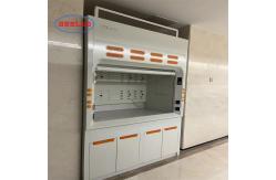 China Wall Mounted Integrated Structure Lab Fume Hoods Customized Size supplier