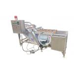 Leafy Vegetables 3.75KW SUS304 Air Bubble Washing Machine for sale