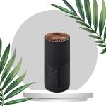 Office H12 H13 True Hepa Air Purifier AP02 Dust Odor Air Cleaner Travel Bedroom for sale