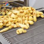 Industrial Cassava Tomato Vegetable Processing Machine Drying And Selection
