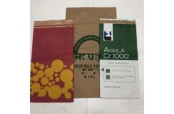 China Custom Printed Multiwall Paper Bags Kraft Bag With Built In PE supplier