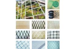 China 7GSM Bird Proof Net Green Bird Proof Netting For Fruit Trees supplier