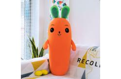 China Washable Super Soft Emulation Carrot Stuffed Vegetable Toy OEM/oDM Plush toy supplier