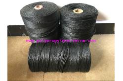 China Fibrillated Twisted PP Filler Yarn Best Breaking Load Winding on Paper Tube supplier
