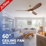 Indoor 10 Wood Blades LED Ceiling Fan with Customized ODM Lighting and Remote Control for sale