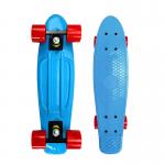 Plastic Mini Penny Complete Skateboards 22 With Blue Deck Red Wheels for sale