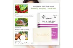 China Regular Size Natural Handmade Soap Private Label Gentle Exfoliating Snail Extract supplier