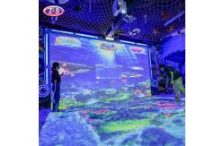 China Joyful Beach Projection Game Constant Updates With New Gaming Content supplier
