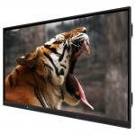 Factory price IBoard 65 Inch Interactive Flat Panel with Infrared Touch Screen and 3G Ram for sale
