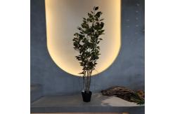 China Insect Resistant Artificial Plants Indoor Artificial Green Walls 150CM supplier