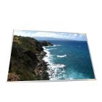 T190PW01 V0 AUO 1440×900 19.0 inch laptop lcd Screen panel for sale