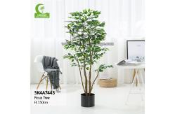China Height 150cm Artificial Ficus Tree supplier