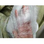 High Tensile Strength Chinlon Anti Bird Net White For Grapes