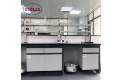 China Fixed Structure Chemistry Lab Workbench Chemical Lab Workstation Paint Surface supplier