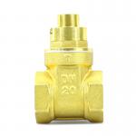 6 Inch Sluice Gate Valve PN40 Bellow Seal Gate Valve Brass Magnetic Lock DN20 for sale
