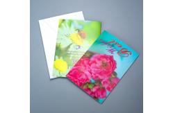 China Factory Hot Sale Custom Kpop 3D Lenticular Printing Postcard/ Business Card supplier