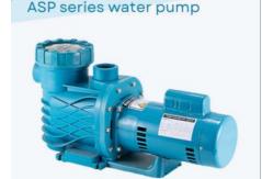 China ASP100 Swimming Pool Water Pumps For Swimming Pool Using supplier