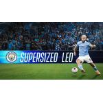 Bright P10 SMD Stadium LED Display Made in for Your Requirements for sale