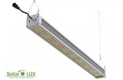 China 277V IP65 Full Spectrum 630w Horticulture LED Grow Lights supplier