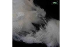 China 2.5D Regenerated Polyester Staple Fiber Man Made Nontoxic Viscose Staple Fibre supplier