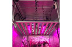 China 1200w PWM Dimming Samsung Osram LED Horticulture Grow Light supplier