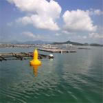 800kg Buoyancy Yellow/Red/Green PE Navigation Buoy With 1550mm Focal Plane Height for sale