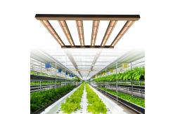 China 3x3 Dimmable Lm301b Lm301h LED Grow Light For Indoor Medicinal Plants supplier