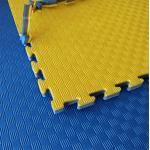 EVA Foam Tatami Judo Interlocking 4cm Martial Arts Jigsaw Floor Mats for sale