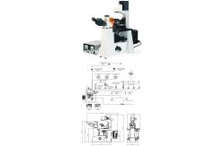 China Wide Field Inverted Fluorescence Microscope Trinocular A16.0201 supplier