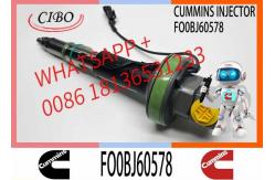 China Fuel Injector Assembly Y431K05246 FO0BJ60578 FOOBJ60783 1000019903 For Qsk19 Engine supplier