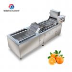 Multifunctional Fruit Washing Machine 3.8KW Vegetable Blanching Equipment for sale