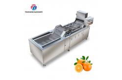 China Multifunctional Fruit Washing Machine 3.8KW Vegetable Blanching Equipment supplier