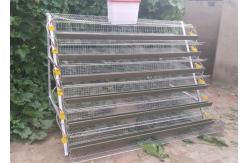 China Half A Type Quail Farm Cage Wire Quail Laying Cages For Quail Farming supplier