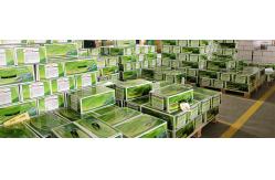 China Manual Strapping Tools manufacturer