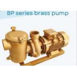 China BP30 Swimming Pool Water Pumps For Swimming Pool for sale