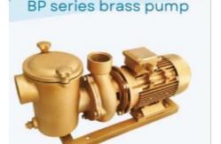 China BP30 Swimming Pool Water Pumps For Swimming Pool supplier