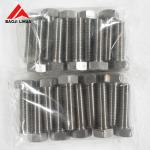 Gr2 Gr5 Titanium Bolts Nuts , M8 M10 M12 Anodizing Titanium Hex Head Bolts for sale