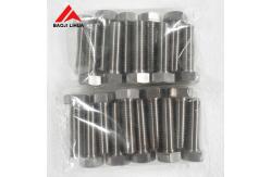 China Gr2 Gr5 Titanium Bolts Nuts , M8 M10 M12 Anodizing Titanium Hex Head Bolts supplier