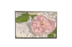 China 21.5 Inch Sunlight Readable TFT LCD Module 1500 Nits supplier