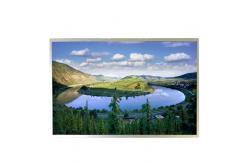 China AUO 13.0 inch B131EW01 V0 TFT LCD Panel Screen supplier