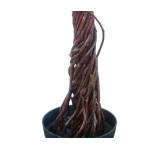 No Nursing Height 160cm Artificial Topiary Tree For Restaurant
