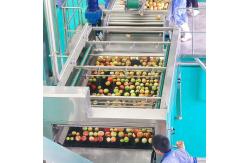 China SUS304 Automatic Apple Processing Line For Fruit Juice Plant  Energy Saving supplier
