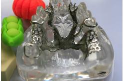 China Cr Co Partial Denture Metal Framework supplier