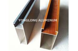 China Multifunctional Curtain Wall Aluminium Profiles For Decoration Rectangle Shape supplier