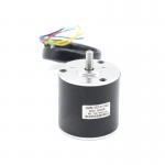 3000RPM Lightweight Brushless Dc Motor 4 Pole 24 Volt 11W 0.035nm 42BLY01C 002 for sale
