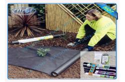 China 3%UV Garden Weed Control Fabric , Polypropylene Agriculture Non Woven Cover supplier