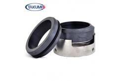 China Burgmann H7N H75 o-ring Aesseal mechanical seal for water pump supplier