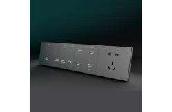 China Champagne Gold Programmable Smart Light Switch AC110V Wifi Light Timer Switch supplier