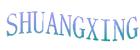 Xianxian Shuangxing Casting Co., Ltd.