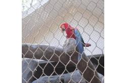 China Hand Woven Flexible Stainless Steel Zoo Wire Mesh Cabel Net Bigger Hole supplier